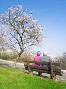 Increase Longevity: Live Longer and Healthier Image